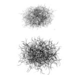 Thumbnail of post image 066